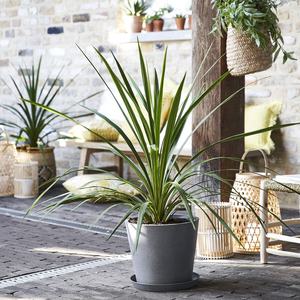 2026 New Design Bamboo <b>Lantern</b> Woven <b>Lantern</b> Bamboo Candle Holder <b>Lampshade</b> Hanging Outdoor Light for Home Decor Made in Vietnam - Product Image 4