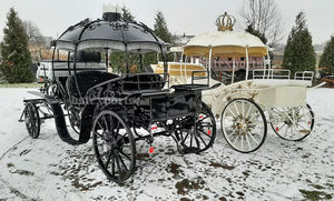 Carruaje de caballos negros victorianos para funeral Carruaje de caballos de ataúd negro clásico Carruaje de caballos negro Coche fúnebre/Carruaje de ataúd EE. UU. - Product Image 4