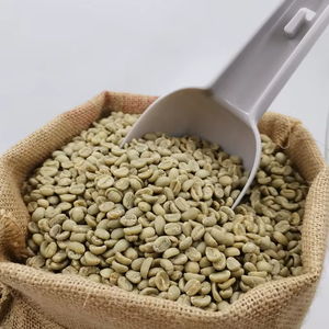 Café vert Arabica de spécialité certifié USDA, taille 16, 100% naturel, qualité supérieure, exportateur direct du Vietnam, marque TNFOOD - Product Image 1
