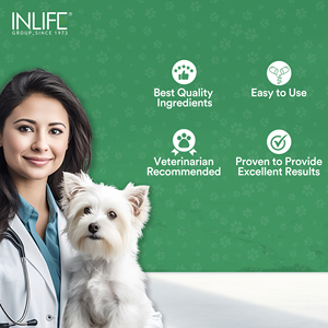 Mezcla de probióticos y prebióticos para mascotas más vendida de Inlife, 60 cápsulas de alta calidad, suplementos eficaces para la salud digestiva - Product Image 6