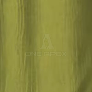 Pantalones cortos de mujer ligeros hechos en fábrica para venta en línea Pantalones cortos de mujer hechos de algodón de la mejor calidad - Product Image 6