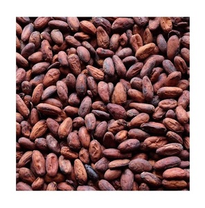 เมล็ดโกโก้เวียดนามคุณภาพสูง 100% จากธรรมชาติ - Product Image 5