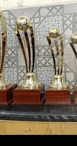 Stainless Steel Sports <b>Trophy</b> <b>Cup</b> Customized Achievement Award Display Durable Premium Quality - Product Image 2