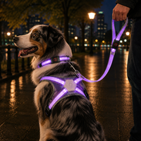 Collier et laisse pour chien Qcool à LED haute visibilité, en nylon, équipement pour animaux de compagnie, fournitures pour animaleries, kit de promenade nocturne, emballage de vente au détail