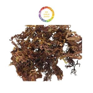 Eucheuma Cottonii Sea Moss Wild Harvest Organic Vietnam Algas secas para carragenina Fabricación a granel Oferta al por mayor - Product Image 2