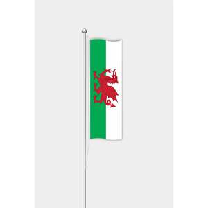 Drapeau du monde en aluminium pour l'extérieur avec logo personnalisé, impression numérique sur soie et polyester, drapeau vertical du Pays de Galles - Product Image 1