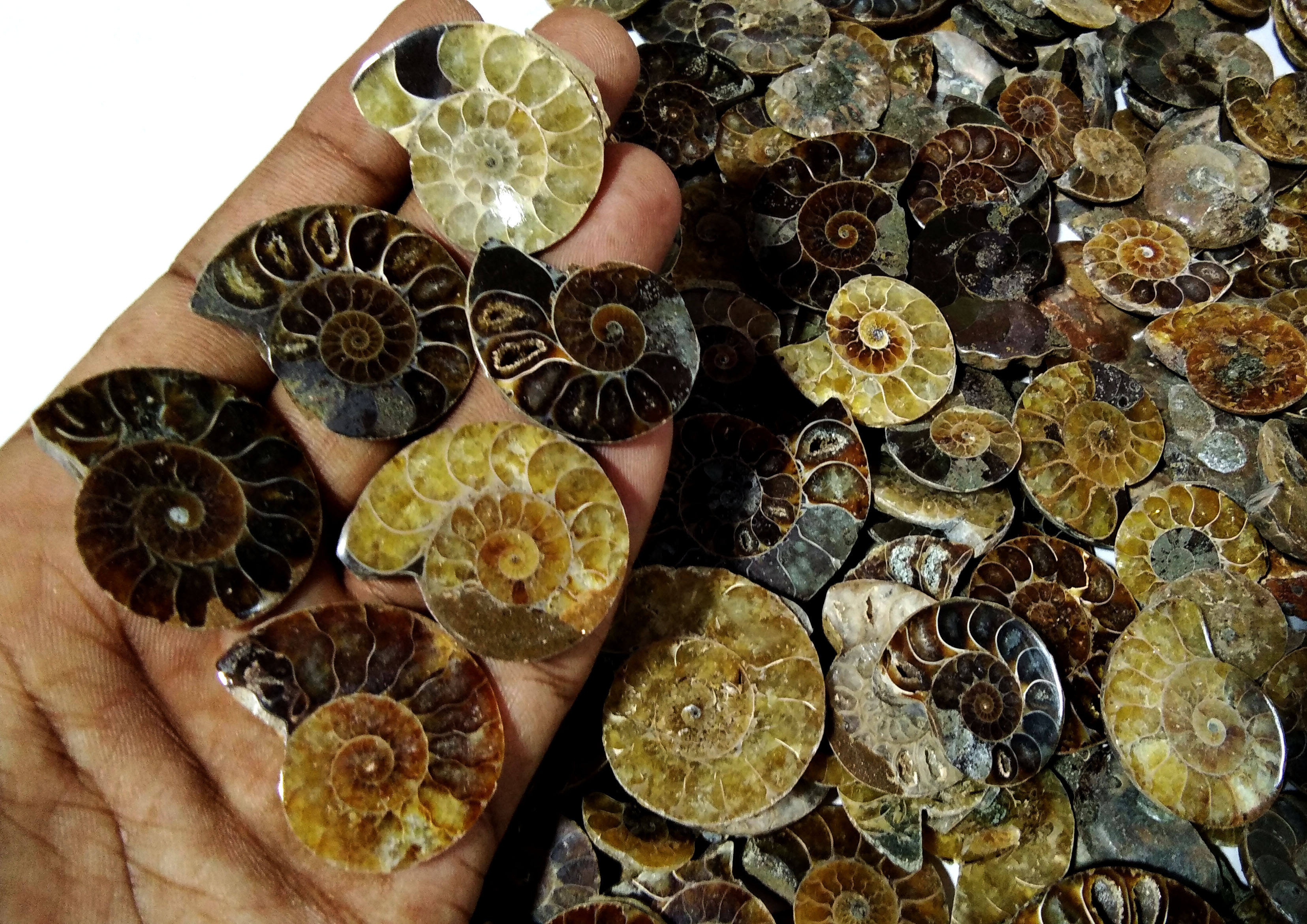 น้ำตาลและดำ