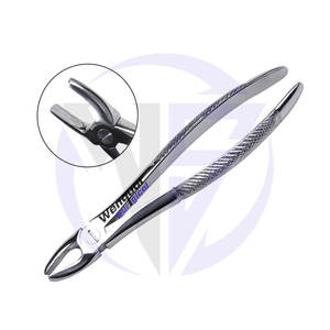 Figura de Alta Calidad. Fórceps de Extracción Dental, Instrumento Quirúrgico para Extracción de Dientes, Dientes Centrales y Caninos Superiores, Proveedor Wenquar - Product Image 5