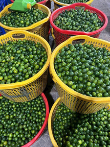 JUGO CALAMANSI CONGELADO DE VIETNAM PARA MARCAS DE BEBIDAS NATURALES BEBIDAS FUNCIONALES Y EXPORTACIÓN GLOBAL OEM - Product Image 3