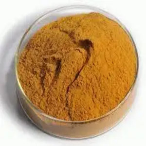 Vente chaude 60% farine de gluten de maïs protéiné grains de maïs jaune naturel pour l'utilisation animale directement des fournisseurs - Product Image 2