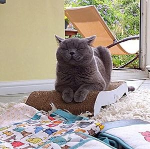 กรงเล็บกระดาษสำหรับแมวของเล่นสัตว์เลี้ยงสำหรับแมว2025เวียดนาม - Product Image 4