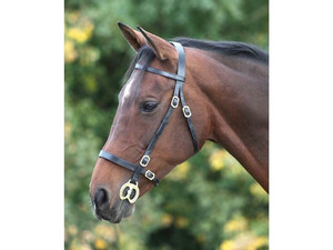 Plaine dans la main montrant les brides Brides flash surélevées Équitation Bride de cheval de bonne qualité Logo personnalisé Meilleure vente basse - Product Image 2