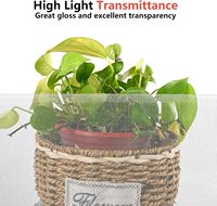 Moustiquaire pour fenêtres, moustiquaire en acier inoxydable de haute qualité, moustiquaire en rouleau