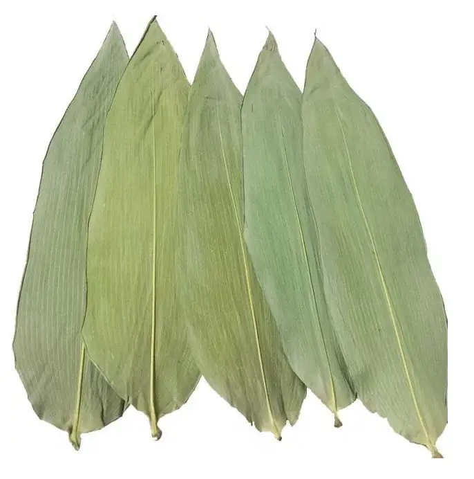 100% daun bambu kering matahari alami untuk membuat kue Harga kompetitif ukuran besar 9cm Up daun bambu kering dari hitung Nam
