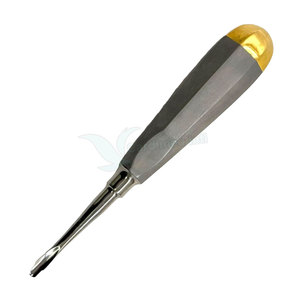 Hot Sale <b>Elevator</b> Root Oral Surgery Dental Instruments Stainless High-Quality Dental <b>Elevator</b> - Product Image 4