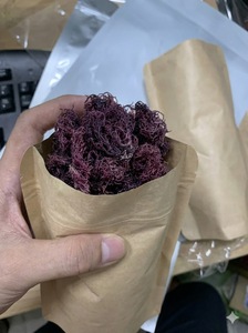 Musgo Marino Morado Orgánico Crudo - Product Image 4