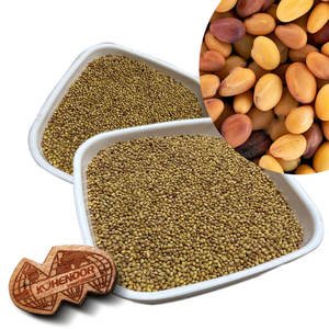 Berseular Clover | อุปทานสดสำหรับความต้องการการให้อาหารปกติ - Product Image 1