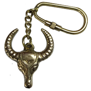 Sifflet nautique porte-clés en laiton article Vintage de luxe survie en plein air étanche artisanat indien article Top vente nouveau Design 2025 - Product Image 6