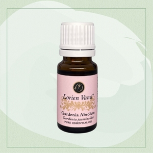 Lorien Vana Gardenia Jasminoides Floral Absolute Huile Essentielle Pure à 100% - 10mL Qualité Thérapeutique Extrait Végétal Biologique pour Tous - Product Image 1