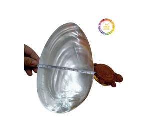 Placa de nácar pulida, placa de nácar de concha marina Natural, placa de concha de perla para vajilla elegante - Product Image 6