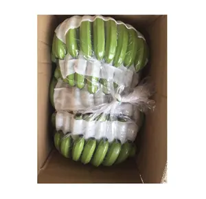 베스트 셀러 신선한 캐번디시 바나나-100% 하이 퀄리티 녹색 신선한 캐번디시 바나나 공장 가격 whatsapp 0084587176063