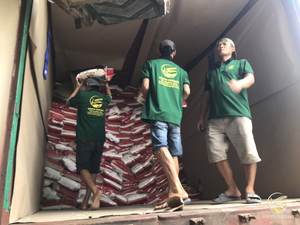 Arroz Blanco de Grano Largo Homali, el Más Reciente, Seco, 5% de Grano Partido, Textura Dura, 14% de Humedad, SUDORIENTE DEL MEKONG, Vietnam 2023 WA84972678053 - Product Image 3