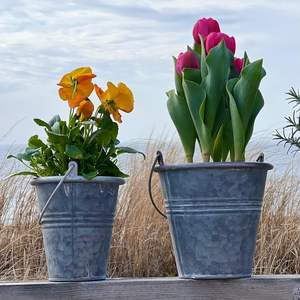Jardinière de fleurs fraîches galvanisée en fer de forme ronde la plus vendue avec poignée pour jardinière décorative intérieure et extérieure - Product Image 3