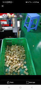 Bâtonnets de canne à sucre congelés du Vietnam naturellement sucrés et juteux parfaits pour les boissons et l'approvisionnement de l'industrie alimentaire - Product Image 3