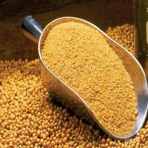 Farine de poisson du Brésil la plus vendue, riche en protéines, qualité alimentaire pour volailles et bétail, destinée aux acheteurs internationaux - Product Image 1
