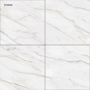 Oferta Especial: Baldosas Modernas de Seranita ST66005 60x60cm Antideslizantes para Baño, Comedor y Apartamento - Fabricante Confiable - Product Image 1