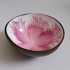 Bol en coquille de noix de coco laqué écologique fait à la main coloré complet Vintage fête à la maison Camping échantillon gratuit PC porte-salade noël - Product Image 2