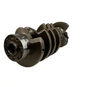 Cigüeñal de motor de fábrica AJ133 Cigüeñal para Land <span class=keywords><strong>Rover</strong></span> <span class=keywords><strong>Range</strong></span> <span class=keywords><strong>Rover</strong></span> OEM RF8W93BA gasolina 5,0 V8 - Product Image 1