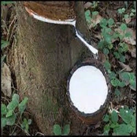 Caoutchouc liquide blanc de qualité supérieure en latex de caoutchouc naturel pour moulage et mousse, haute fluidité