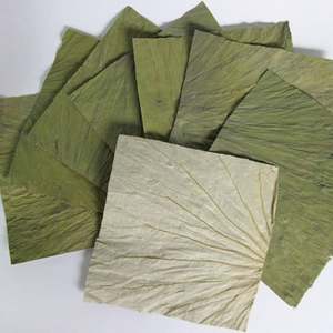 Herbe culinaire polyvalente en poudre de feuilles de lotus séchées vietnamiennes de haute qualité pour la cuisson du thé directement de source agricole - Product Image 3