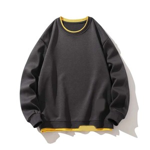 Sweat à capuche 100% coton épais pour hommes à manches régulières Sweat-shirt solide personnalisé de haute qualité Logo personnalisé imprimé polaire - Product Image 1