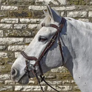 Madrid Bridle with Reins Available in Cob or Full Premium Leather Horse English Bridle Suppliers Horse Equipment Horse