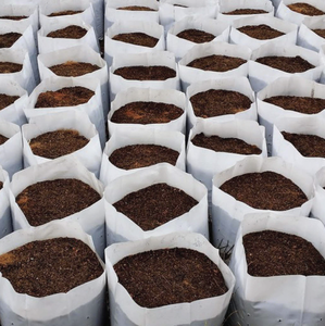 Meilleure vente Garden-Grade Coco Coir Respectueux de l'humidité et respectueux de l'environnement - Product Image 4