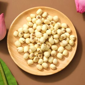 Premium Dried Lotus Seeds Skinless and Coreless Top Grade Wholesale - Product Image 1