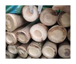 Bastón de bambú ecológico, venta al por mayor, material natural de alta calidad, fabricante de exportación directa de fábrica de Vietnam - Product Image 3