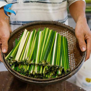 Pailles à gazon biodégradables pour une vie sans plastique - Product Image 4