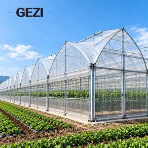 Serra a più campate con archi gotici, copertura in film collegata alle grondaie e design anti-neve per la coltivazione commerciale di ortaggi - Product Image 1