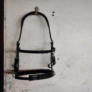 Brida Anatómica de Cuero Adams Tack Smart Horse de 12 mm con Cristales Ondulados, Diseño Novedoso, Cuero Genuino Puro, Personalizable - Product Image 2