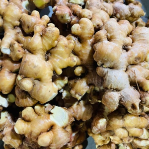 Jengibre amarillo fresco al por mayor | Producto natural de Vietnam de alta calidad - Product Image 2