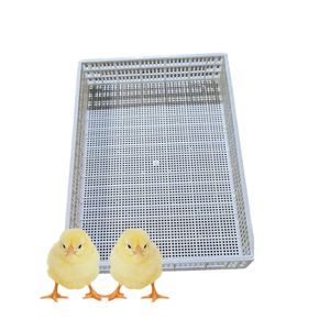 Piso de listón de plástico para aves de corral, nuevo diseño de alta calidad para equipos de aves de corral, personalización, fabricante de Vietnam - Product Image 6