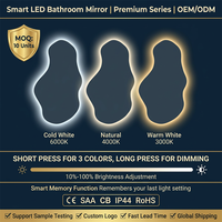 Miroir de salle de bain LED en forme de nuage irrégulier, sans cadre, à fixation murale, commande tactile, anti-buée, miroir de vanité éclairé