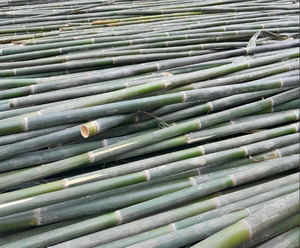 Split <b>Bamboo</b> High Quality From Vietnam/Split <b>Bamboo</b> <b>Raw</b> <b>Materials</b> Green/Yellow Good Price - Product Image 2