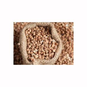 Suministro al por mayor de trigo sarraceno, producto de alta calidad, precio asequible, envío oportuno - Product Image 4