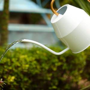 Caño largo minimalista nórdico moderno y lata de agua con mango dorado para decoración de jardín - Product Image 2