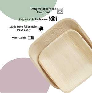 Assiettes carrées jetables biodégradables en feuille de palmier Areca de 8 pouces pour les rassemblements en plein air, les pique-niques et les célébrations en Inde - Product Image 5