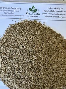 Semillas de Anís Secas de Primera Calidad, Especias Individuales, Certificación ISO, 100% Puro y Natural, Cosecha Más Reciente, Procesamiento Crudo - Product Image 3